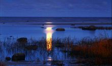 形容心静如水的句子