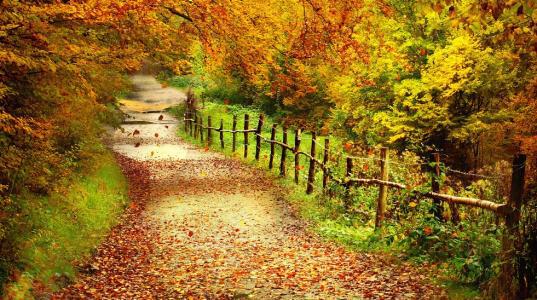 秋天确实是一幅美丽的自然图画