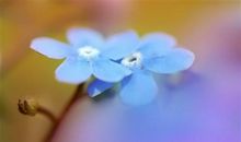 考试没考好想哭的说说 考砸了心情不好说说