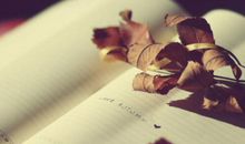 2019表达一家人幸福的句子