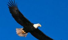 励志超燃的句子