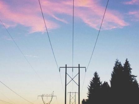 仅仅因为负担太重