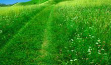 青春派经典语录