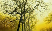 小王子哲理句子