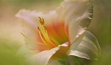 只有经历过才会懂得的说说