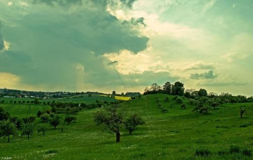 希望大家都喜欢  1