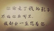 偷影子的人经典语句