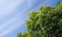 朋友哲理的句子