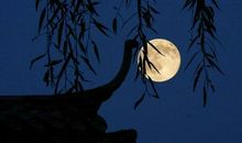 中秋思念亲人的诗句