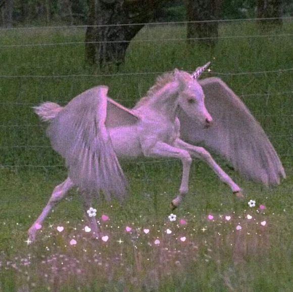 一个明亮的月亮