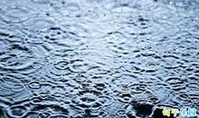 写梅雨的古诗词 江南梅雨时节的诗句