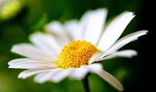 肆无忌惮的开怀大笑的说说