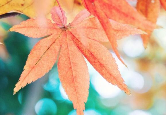   生活哲学和鼓舞人心的名言：  1