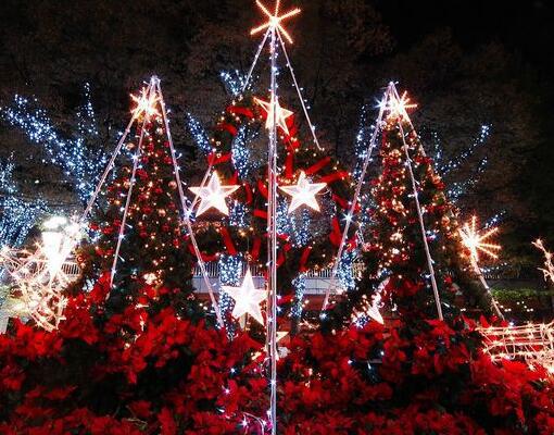 以下是小编整理的句子“圣诞节的描述”