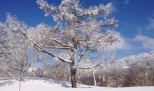 描写冬天雪景的成语