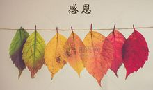 关于感恩 励志 团结的句子