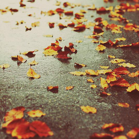 是因为心脏无法承受自己的痛苦