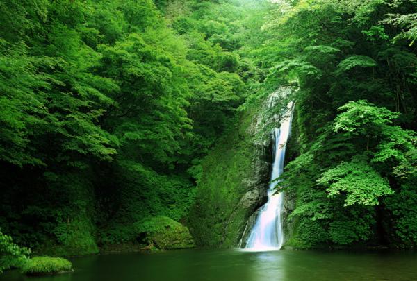 你不比别人愚蠢