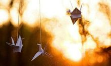 形容固执不听劝的说说 说一个人固执的说说