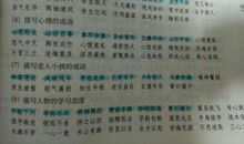 描写老师品质的词语