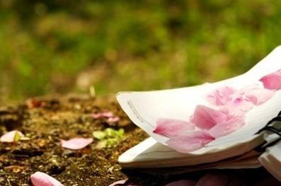 每个人都有一群姐妹在您身后默默地支持您