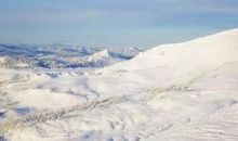 心静不乱的句子