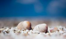 用如果就造句 如果就怎么造句