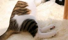 宅在家不错的心情说说