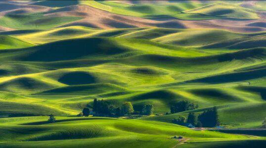 雨和雾洒在柳叶上