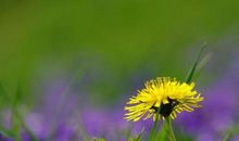 2019最经典的话语