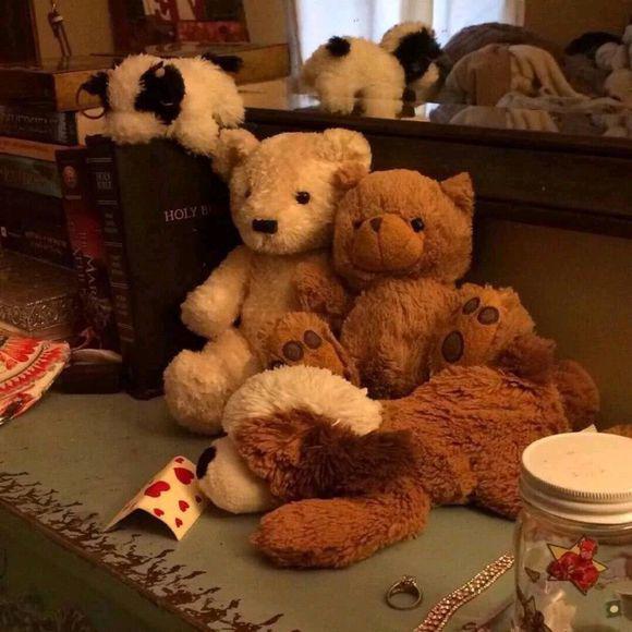 竹子有粗壮的根