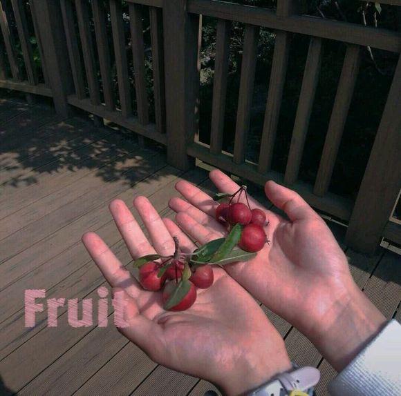 秋草有种爱的感觉