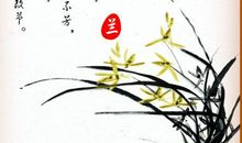 关于描写兰花的诗句