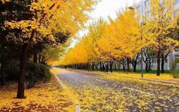 从明天开始就成为快乐的人