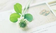 回忆过去的句子，怀念过去的句子