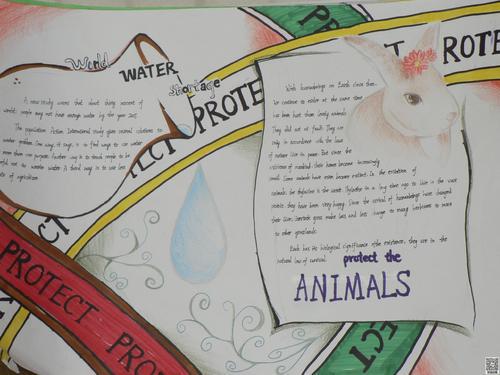 保护地球的英语句子 0