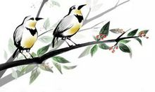 描写鸟的诗句有哪些