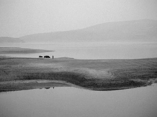 失眠之夜是如此痛苦