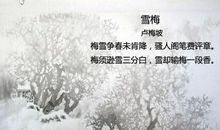 赞美雪的语句