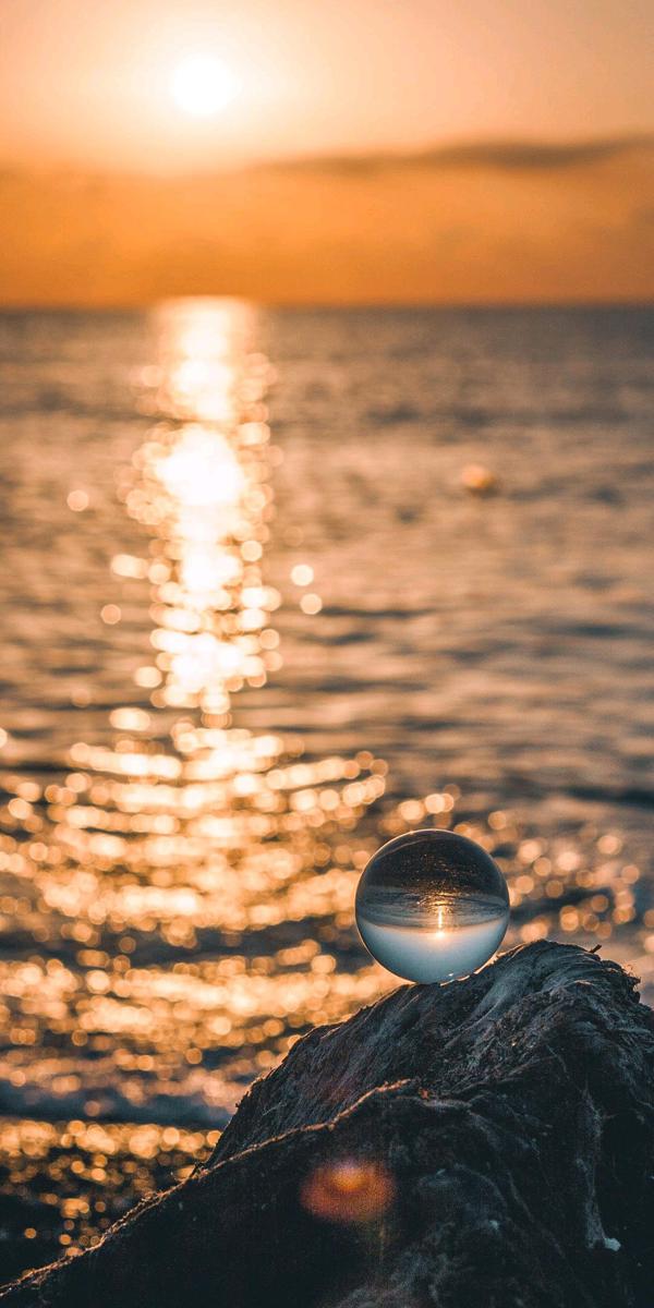 您必须去白杨林