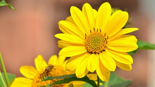 编辑编撰了一些有关表达其次等情感的句子