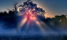 表达对人心失望的句子