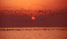 形容黄昏和落霞的句子