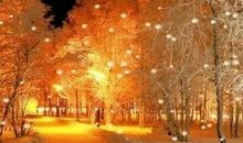 关于对待感情失望的句子