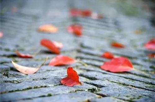 还会给我们带来失望