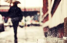 因为到最后它常常是绝望的