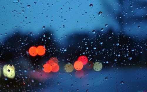   关于雨的美丽句子 我最喜欢下雨天