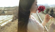 积极向上的经典语录：总有失望，总有失败，总要走下去