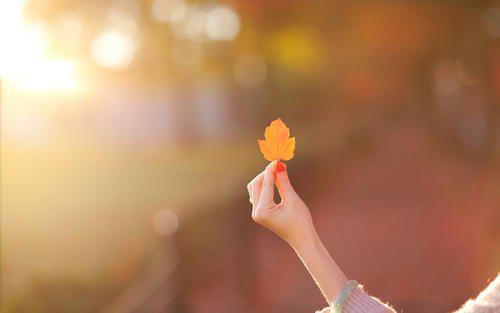 编辑编辑了一些有关情感和美丽的经典句子