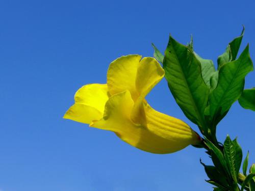 编辑编了一些关于家庭关系的简短句子